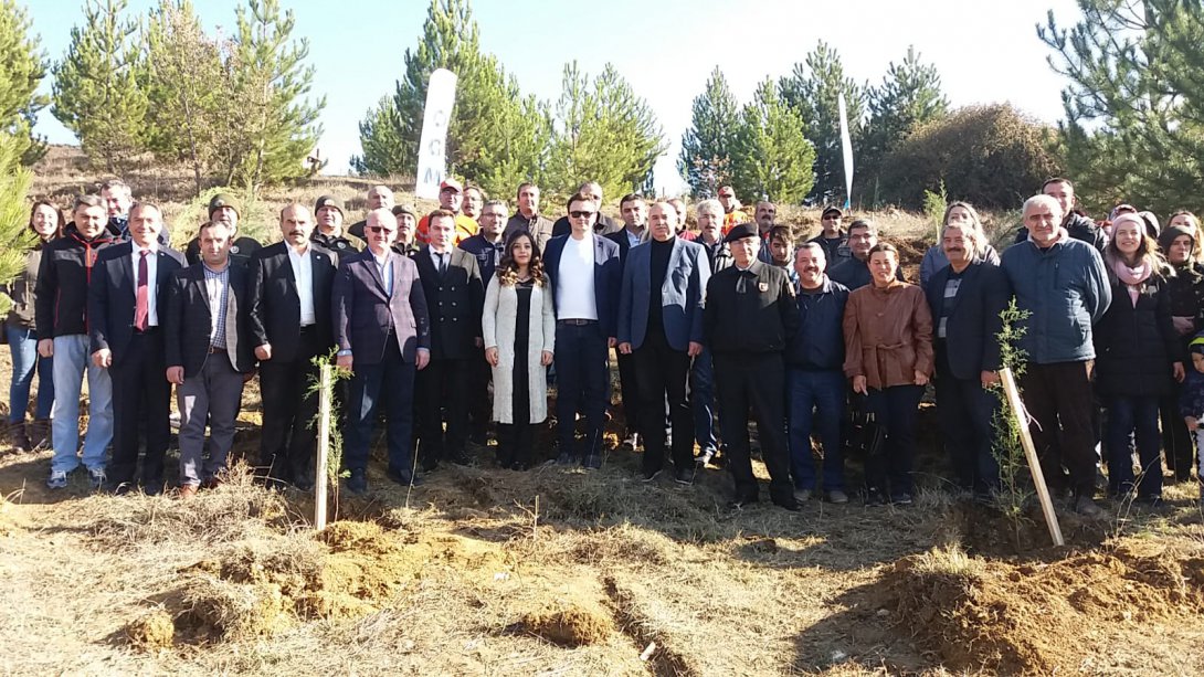 24 Kasım Öğretmenler Günü Etkinlikleri Kapsamında Gümüşhacıköy İlçe Milli Eğitim Müdürlüğü Hatıra Ormanı na 200 Adet Fidan Dikimi Gerçekleştirildi